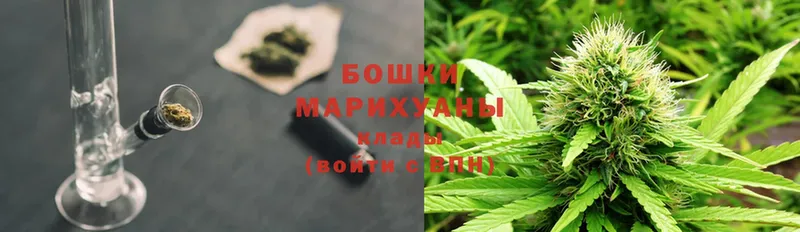 Бошки Шишки THC 21%  Ессентуки 